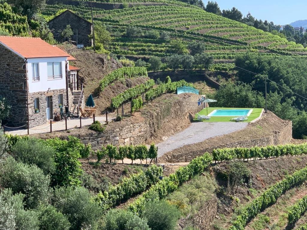 Casa Da Oliveira Villa Mesão Frio Kültér fotó